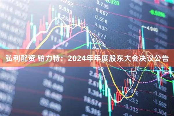 弘利配资 铂力特：2024年年度股东大会决议公告
