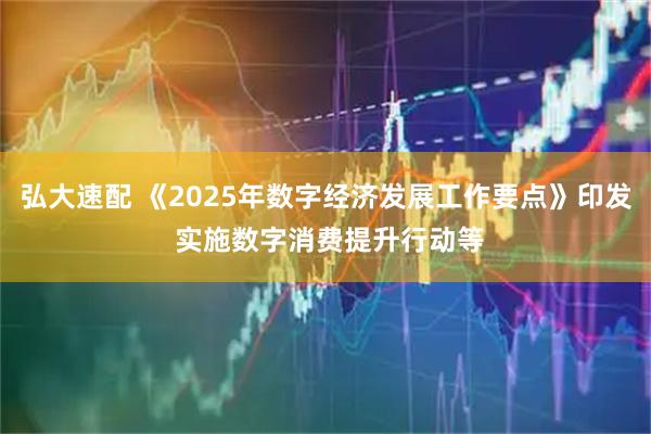 弘大速配 《2025年数字经济发展工作要点》印发 实施数字消费提升行动等