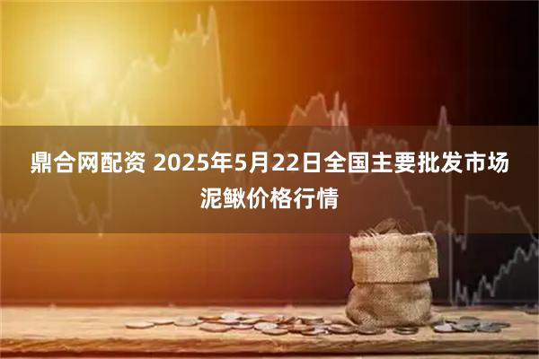 鼎合网配资 2025年5月22日全国主要批发市场泥鳅价格行情