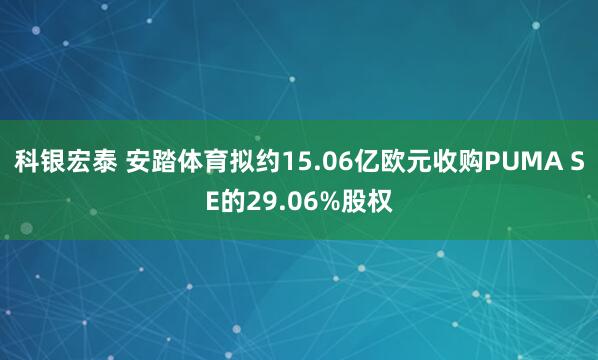 科银宏泰 安踏体育拟约15.06亿欧元收购PUMA SE的29.06%股权